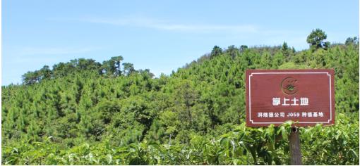 農(nóng)副B2C平臺：掌上土地獲中科院云計算中心下屬孵化器重點(diǎn)扶持！