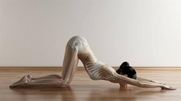 電視怎么看瑜伽視頻 當(dāng)貝市場(chǎng)最火的氧氣瑜伽體驗(yàn)評(píng)測(cè)