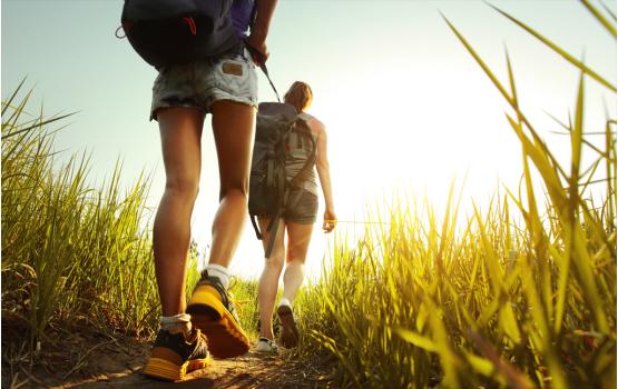 出國流量怎么選？漫游市場報告之漫游wifi篇