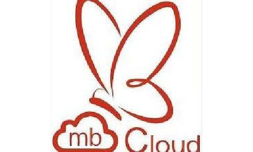 金融云服務(wù)公司招銀云創(chuàng)獲得CDN牌照