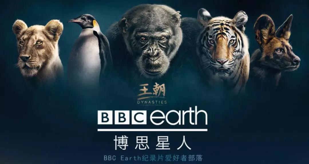 騰訊BBC深化合作，聯(lián)手打造粉絲社區(qū)