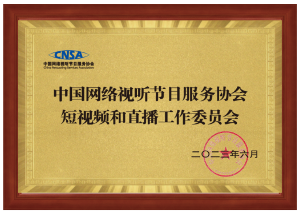 中國網(wǎng)絡(luò)視聽節(jié)目服務(wù)協(xié)會新設(shè)立（調(diào)整）三個分支機構(gòu)